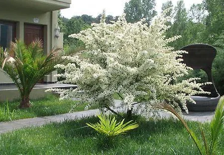 アパート Abbacy Katiana's Castelleti 2