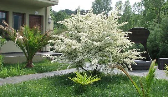 アパート Abbacy Katiana's Castelleti 2